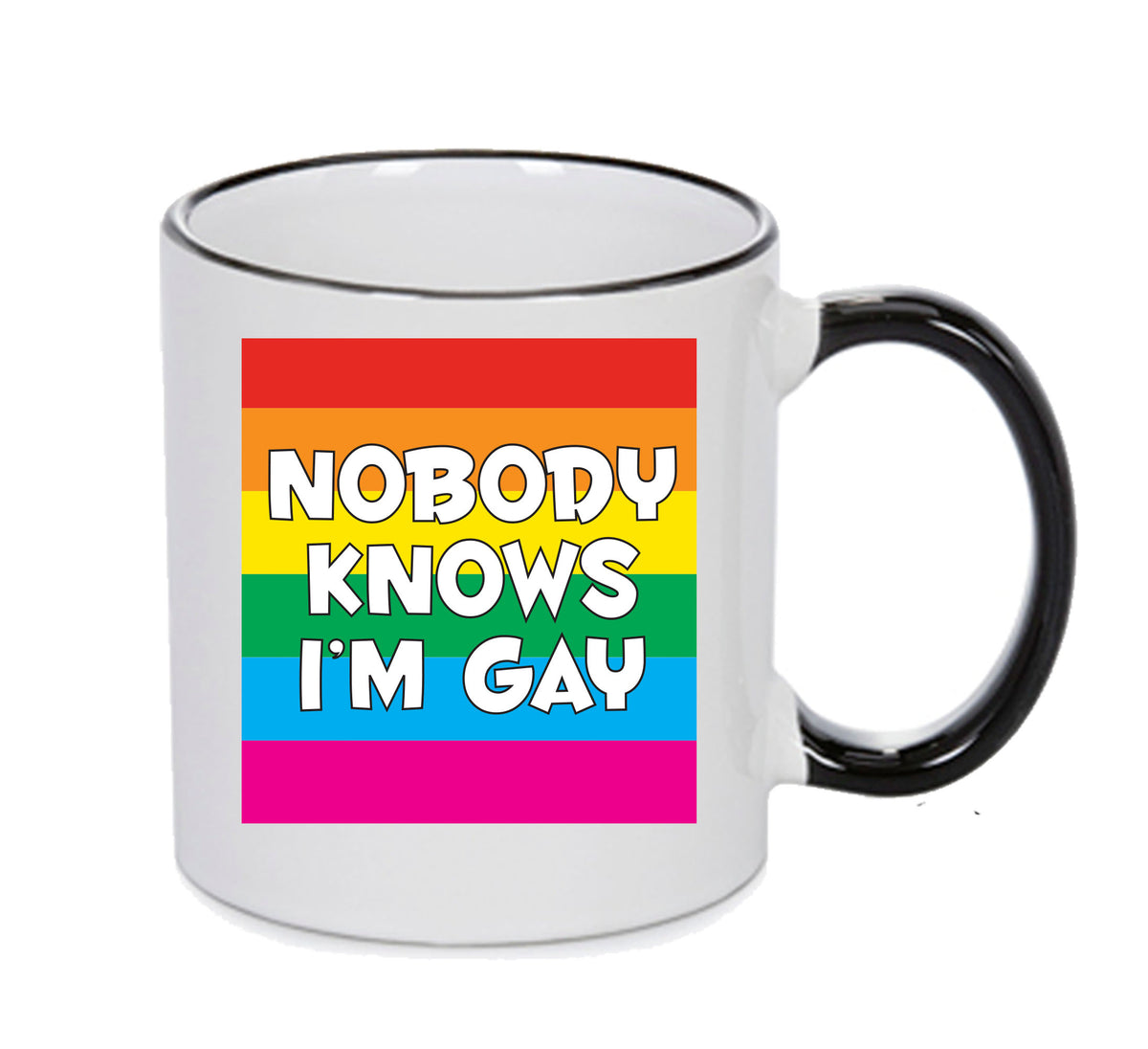 Nobody Knows I'm Gay Mug Adult Mug Gift – printed mug product image 1