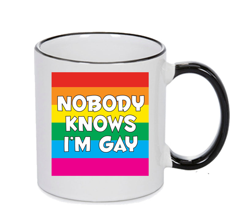 NOBODY KNOWS I'M GAY Funny Mug Adult Mug Office Mug