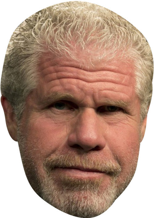 Perlman MH 2017 Celebrity Face Mask Fancy Dress Cardboard Costume Mask