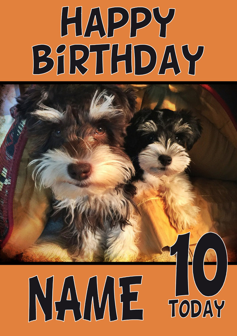 Puppy1 DOGS AND Funny Puppy Kids Adult Personalised Birthday Card