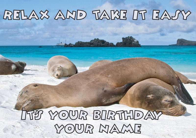 Sea Lions Relax Kids Adult FUNNY Kids Adult FUNNY Personalised Birthday Card