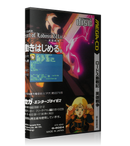 Record of lodoss war Back Jp REPLACEMENT Retro Gaming Case
