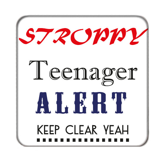 Stroppy Teenager Alert Drinks Coaster 3