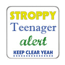 Stroppy Teenager Alert Drinks Coaster