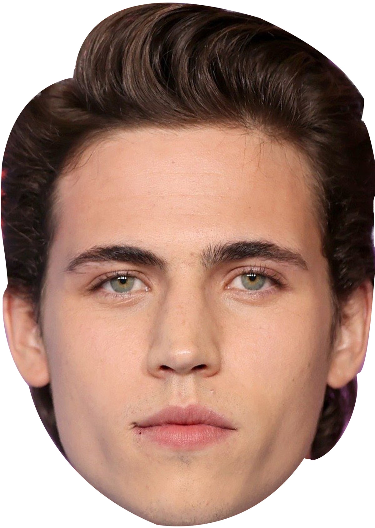 Tanner Buchanan Face Mask – Fancy Dress Cardboard Costume Mask – Tanner Buchanan Face Mask
