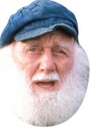 Uncle Albert Face Mask FANCY DRESS HEN BIRTHDAY PARTY FUN STAG DO HEN