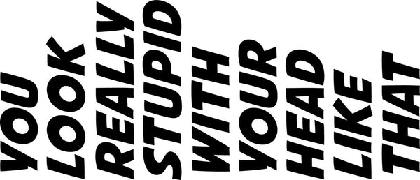 You Look Really Stupid With Your Head Like That Novelty Vinyl Car Sticker
